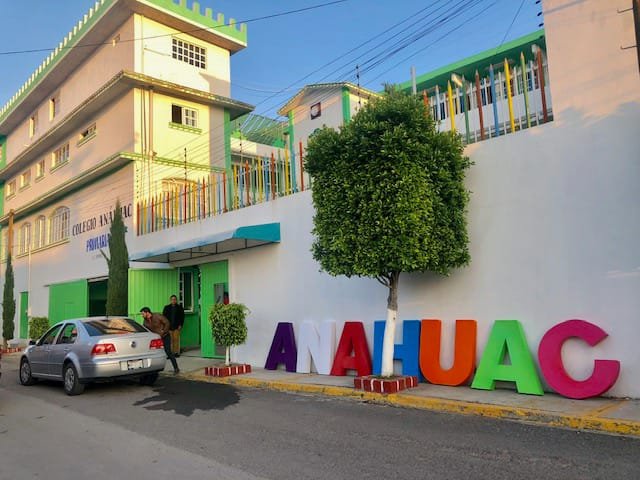 PRIMARIA – COLEGIO ANÁHUAC